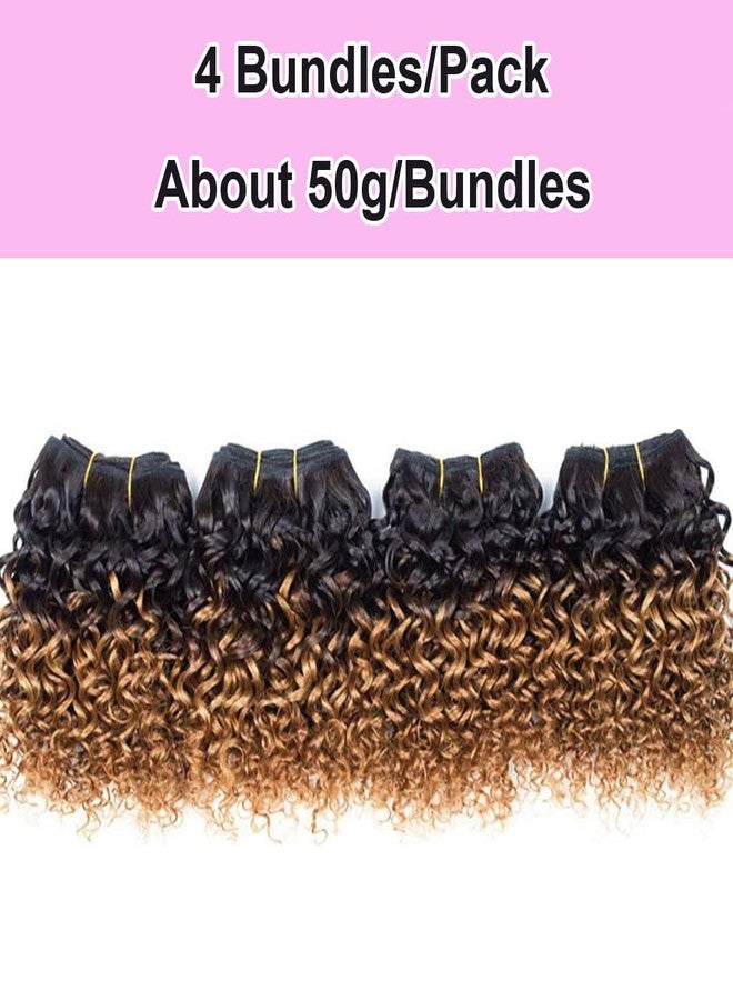 hengya Kinky Curly Bundles Human Hair 4 Bundles Curly Bundles Human Hair 1B/30 Color Afro Weave 12A Brazilian Curly Virgin Hair (8888,1B/30) - Image 3